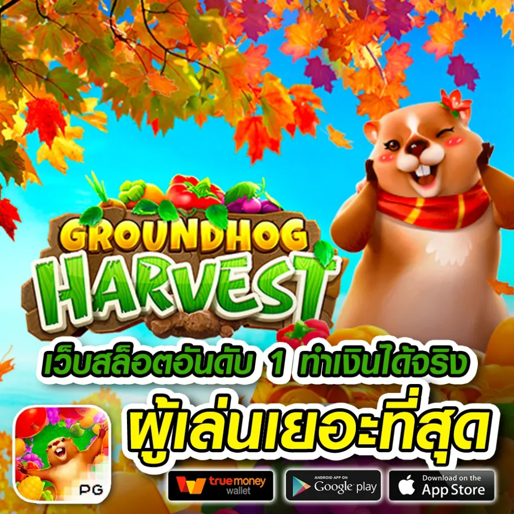 wynn lucky เล่นง่าย